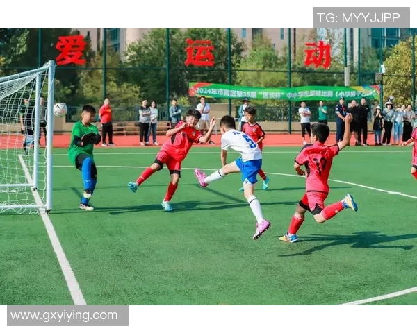 中国足球明星在绿茵场上展现风采与激情的精彩瞬间