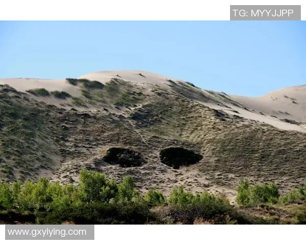 倒钩足球明星名字大揭秘他们的精彩瞬间与传奇故事